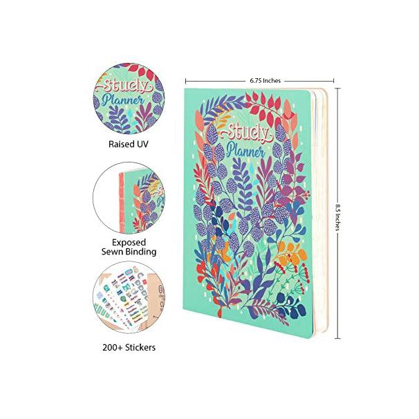 مخطط الدراسة حجم A5 - تصميم الالوان الاستوائية